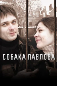  Собака Павлова 