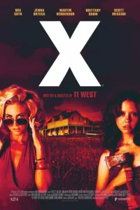  X 
